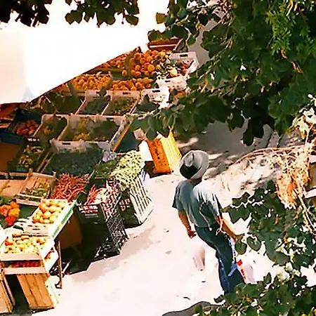 El Trotamundo B&B 로마